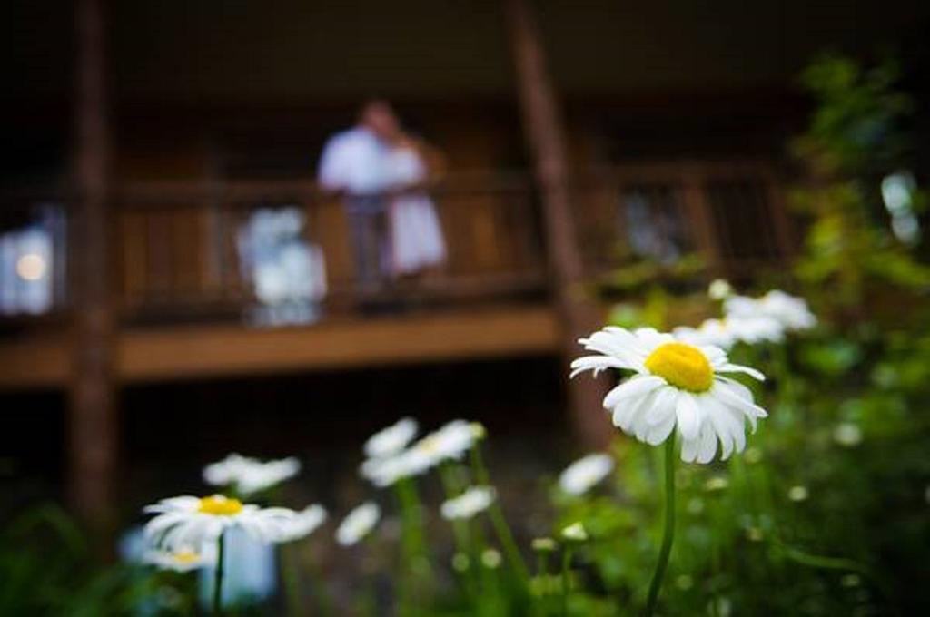 The Fern Lodge เชสเตอร์ทาวน์ ภายนอก รูปภาพ