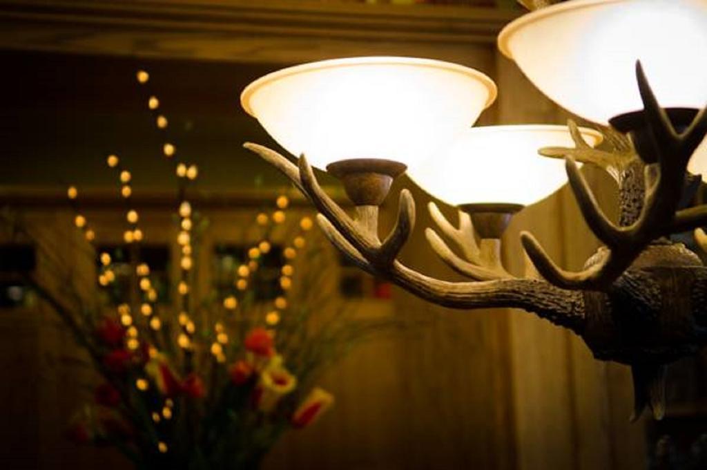 The Fern Lodge เชสเตอร์ทาวน์ ภายนอก รูปภาพ