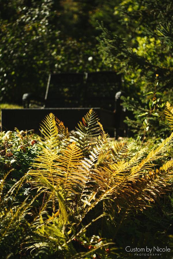 The Fern Lodge เชสเตอร์ทาวน์ ภายนอก รูปภาพ