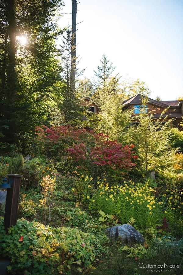 The Fern Lodge เชสเตอร์ทาวน์ ภายนอก รูปภาพ